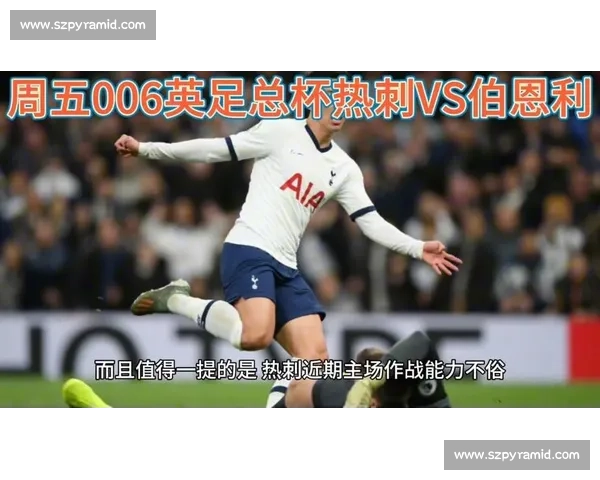 热刺因球迷恐同言论被英足总罚款 7.5 万镑