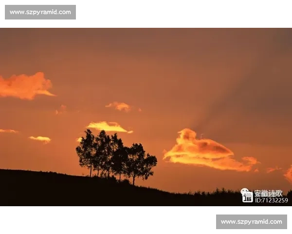 泰山困局：双线迷失下的重建之惑