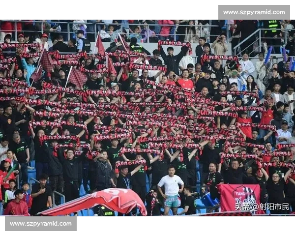 盐城奥体助威声浪掀翻穹顶 女球迷激情呐喊到腿抽筋